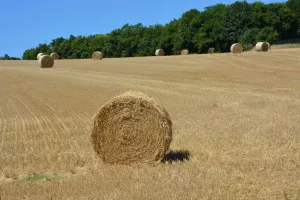 Gdzie szukać części do urządzeń udojowych